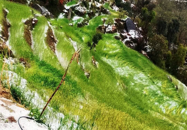 प्रसुन्नालाई ‘युके ब्युटी एण्ड ब्रेन’ को तेस्रो उपाधि