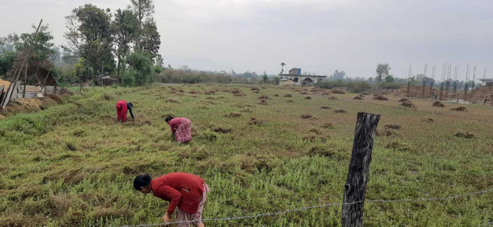 प्रसुन्नालाई ‘युके ब्युटी एण्ड ब्रेन’ को तेस्रो उपाधि