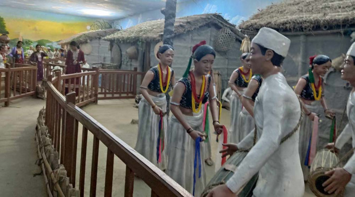 साउनदेखि जडीबुटी बीमा लागू हुने