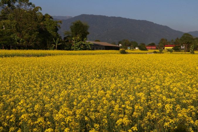 प्रसुन्नालाई ‘युके ब्युटी एण्ड ब्रेन’ को तेस्रो उपाधि